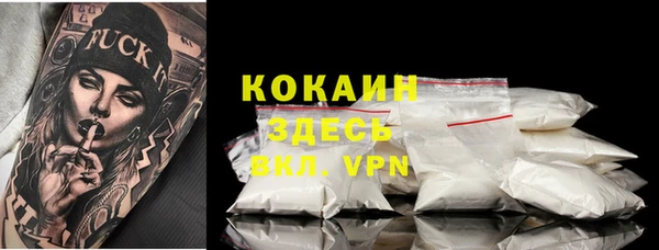 СК Мегион