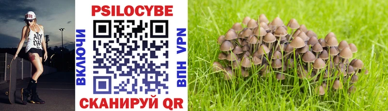 Галлюциногенные грибы Cubensis Балаково