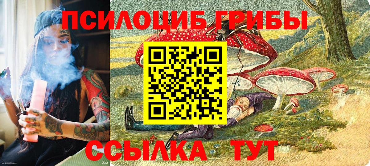 Псилоцибиновые грибы прущие грибы Балаково