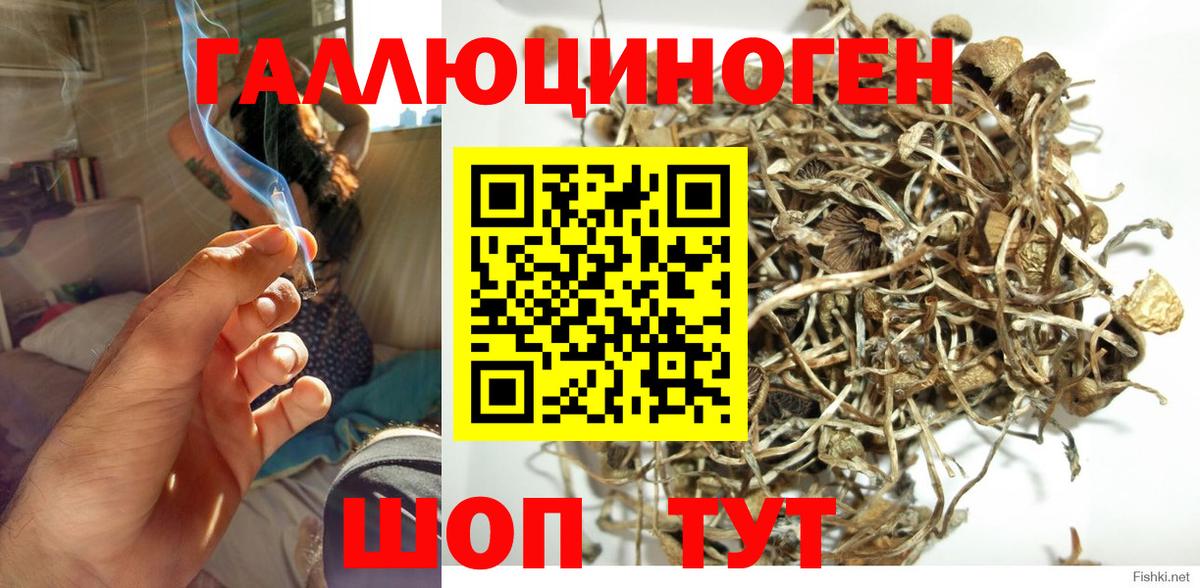 Псилоцибиновые грибы прущие грибы Балаково
