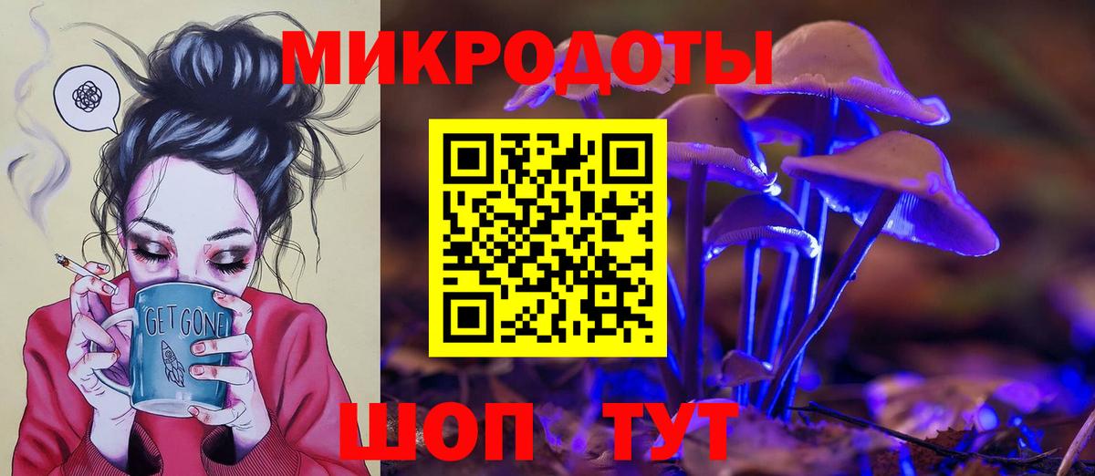 Псилоцибиновые грибы прущие грибы  как найти наркотики  Балаково  Галлюциногенные грибы Psilocybine cubensis 