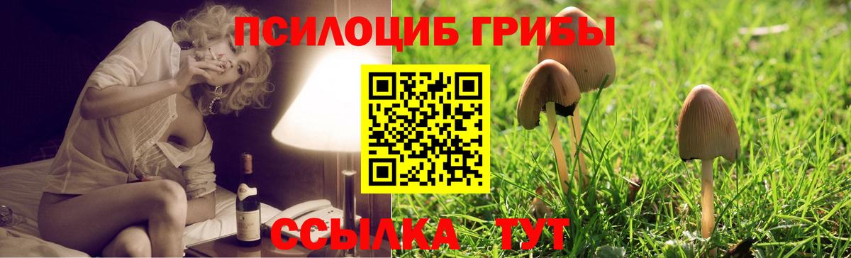 как найти наркотики  Псилоцибиновые грибы MAGIC MUSHROOMS  Псилоцибиновые грибы Psilocybe  Вход с VPN  Балаково 